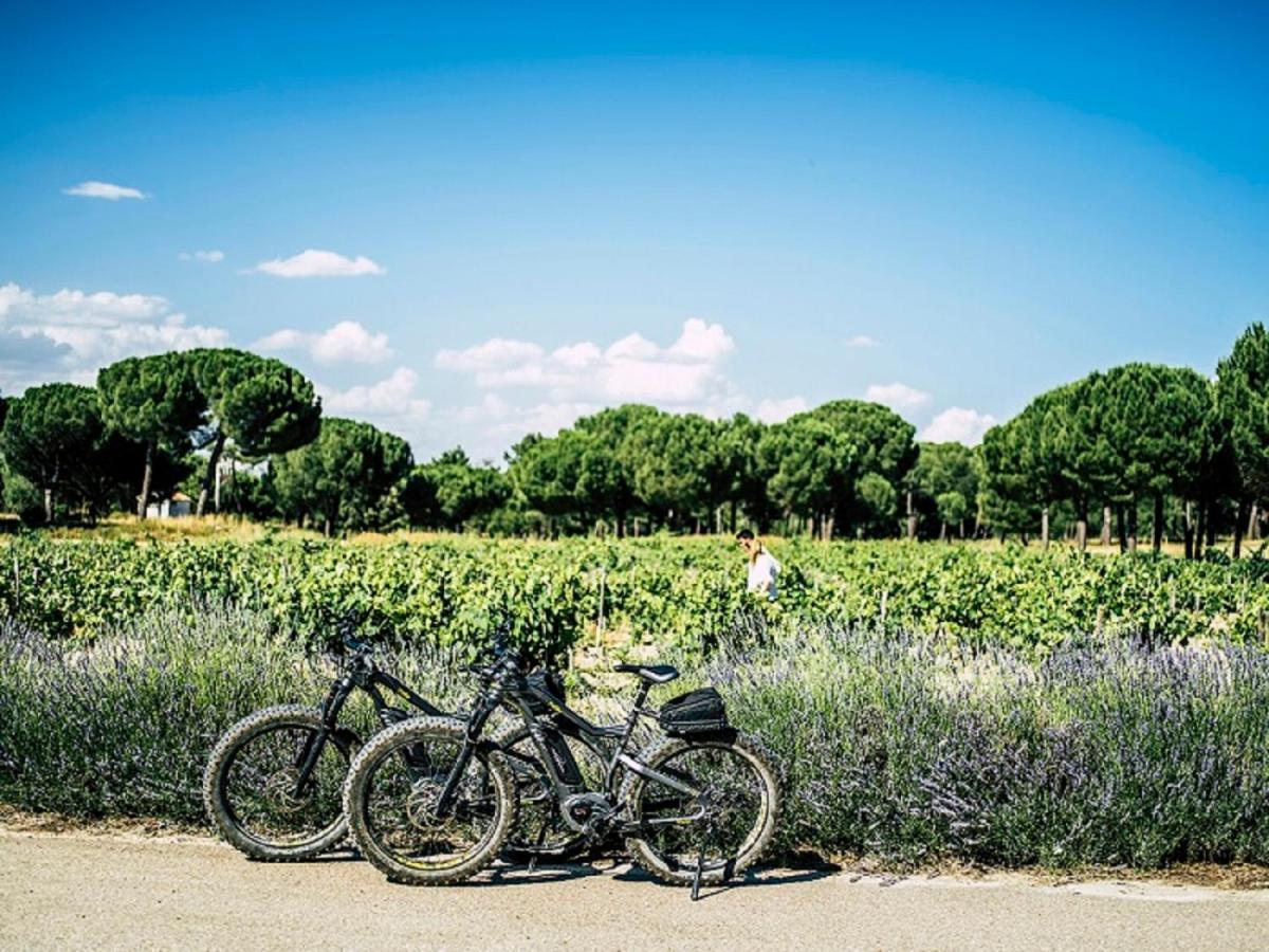 فندق Abadia Retuerta Ledomaine Sardon De Duero المظهر الخارجي الصورة