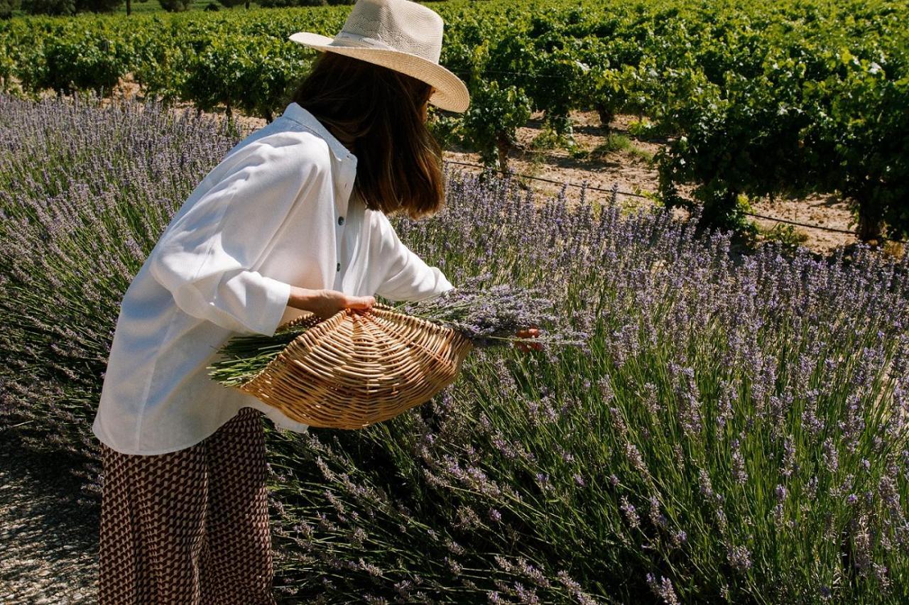 فندق Abadia Retuerta Ledomaine Sardon De Duero المظهر الخارجي الصورة
